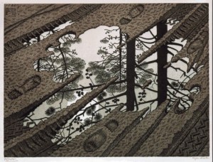 Escher -- Puddle